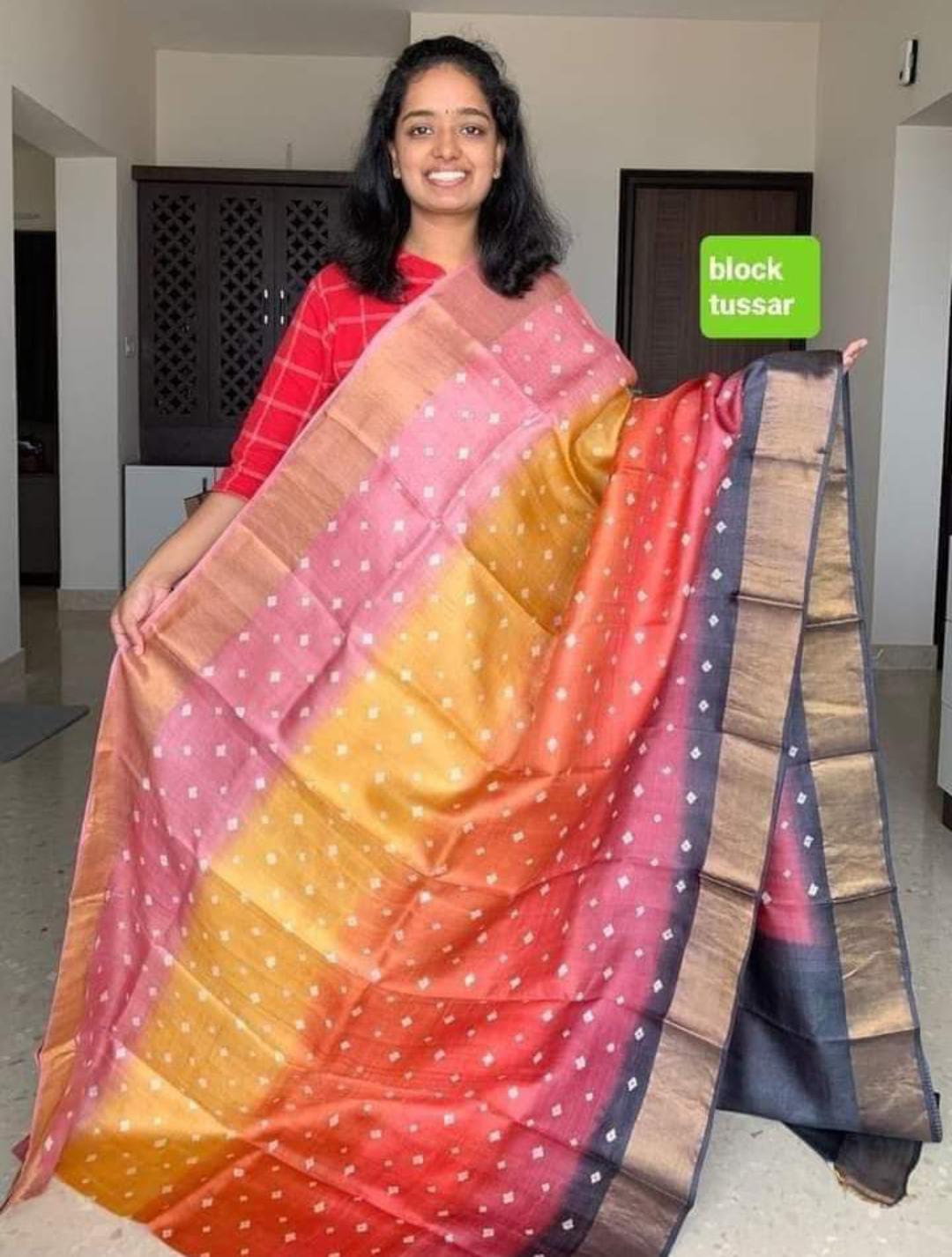 Handloom Bhagalpuri Tussar Saree with Panel Design | Gold Borders, Pallu, and Blouse