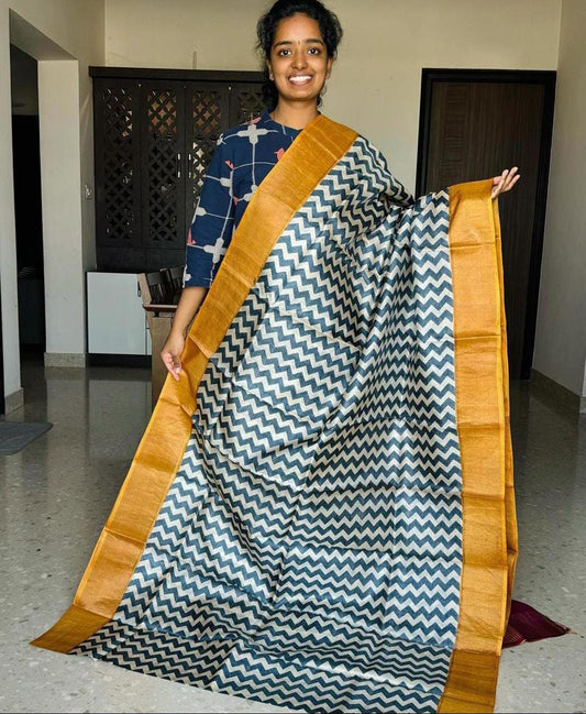 Handloom Bhagalpuri Tussar Saree with Panel Design | Gold Borders, Pallu, and Blouse