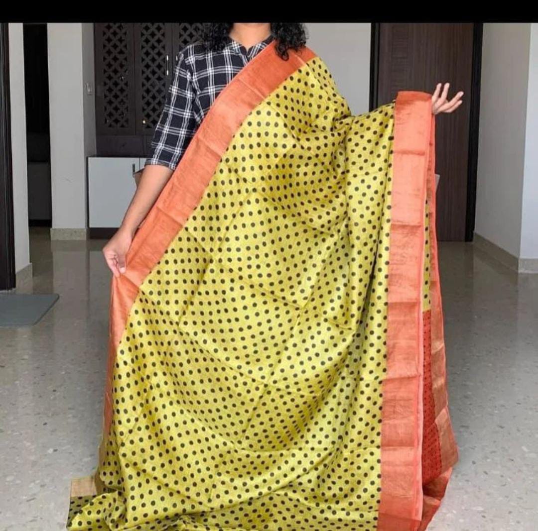 Handloom Bhagalpuri Tussar Saree with Panel Design | Gold Borders, Pallu, and Blouse