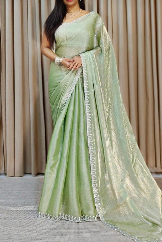 Pastel Jarkan Saree with Stone Border and Blouse